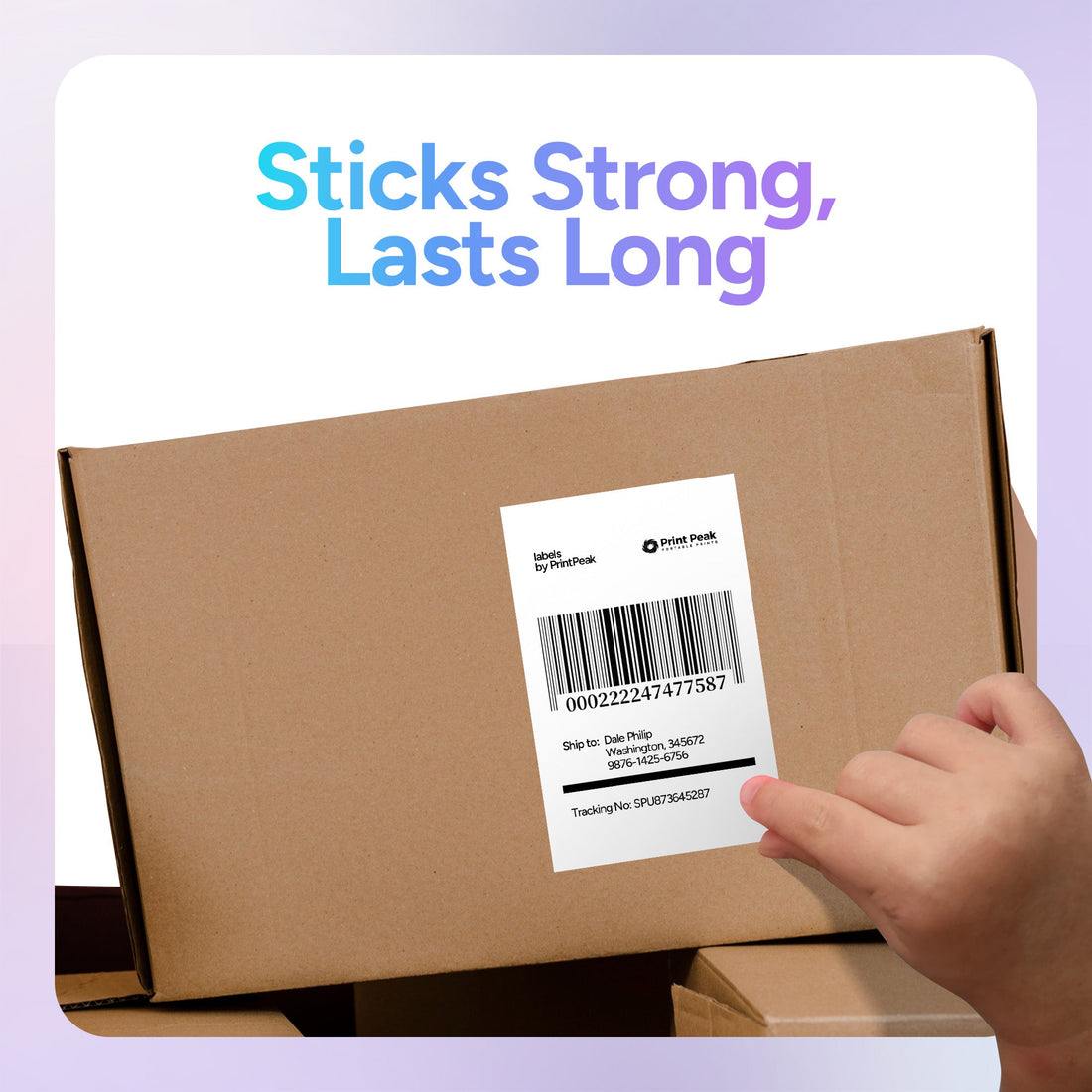 Print Label Options Thermal Printer Labels: All Label Options